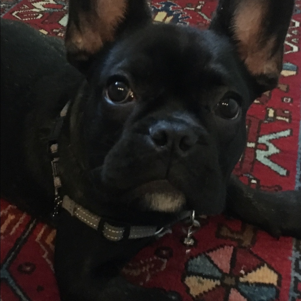 Meet your Posher, Krissy